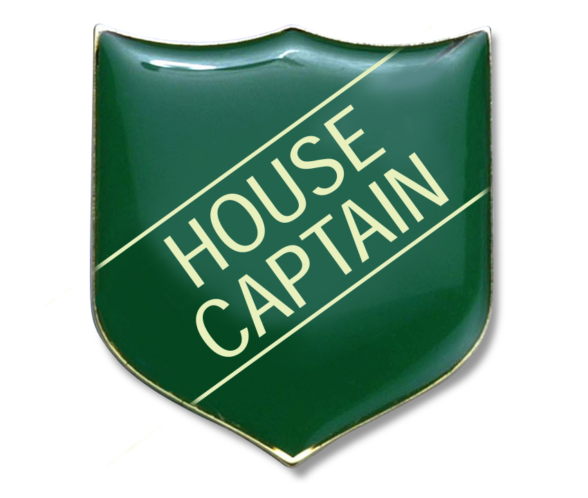 HOUSE CAPTAIN classic shield badge (pack of 5) - Green