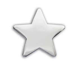 Silver Polished Star badge (pack of 5)