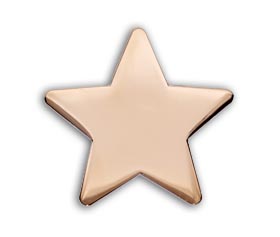 STAR enamel badge (pack of 5) - Polished Bronze
