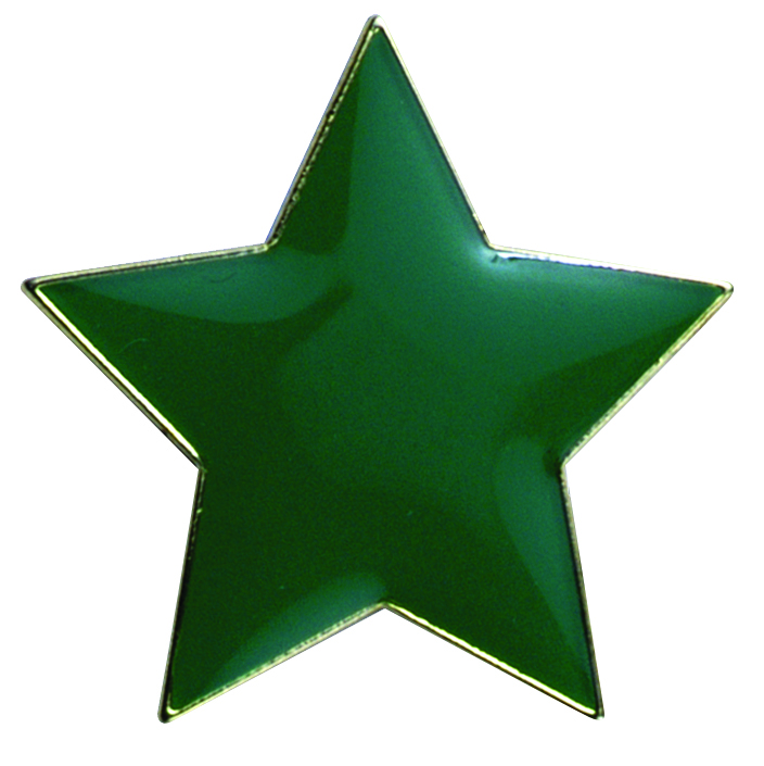 STAR enamel badge (pack of 5) - Green