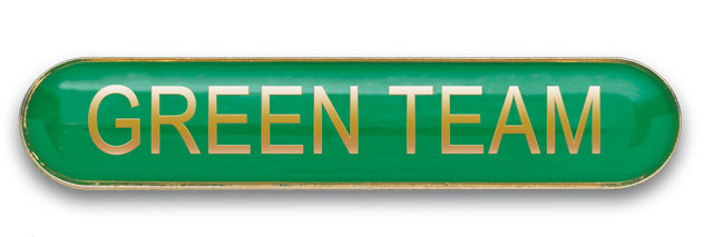 GREEN TEAM bar badge (pack of 5) - Green