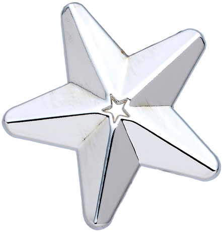 Silver 3D Star Badge (pack of 5)