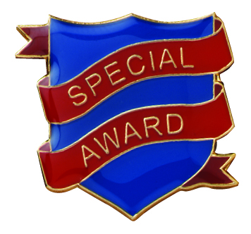 Special Award badge (pack of 5)