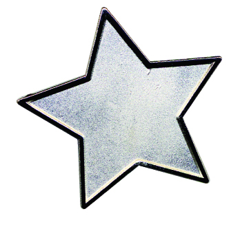 STAR enamel badge (pack of 5) - Silver