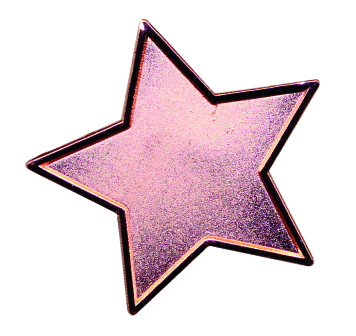STAR enamel badge (pack of 5) - Bronze