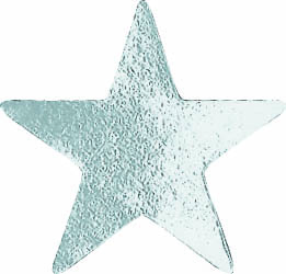 Metallic silver star sticker