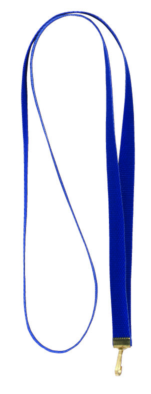 Blue neck ribbon for medals