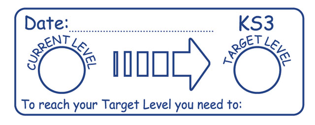 KS3 stamper - To reach your target level...