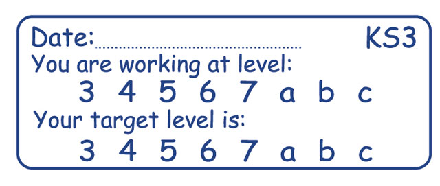 KS3 stamper - You are working at level...