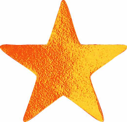 Metallic bronze star sticker