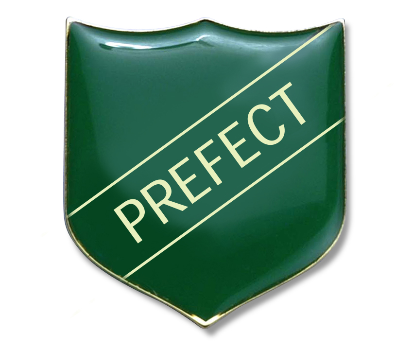 PREFECT badge green (pack of 5)
