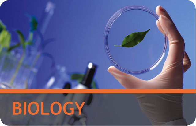 Biology Award Cards