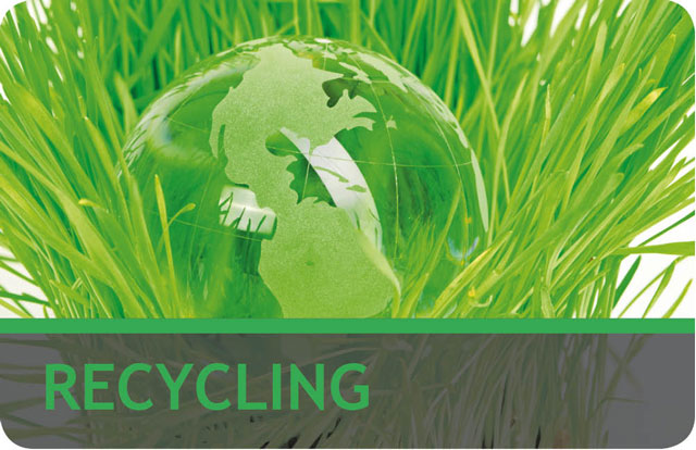 Eco/Recycling Award Cards