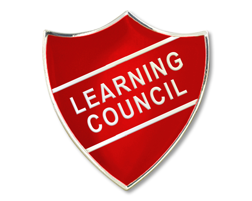 Learning Council Enamel Badge (Pack of 5)
