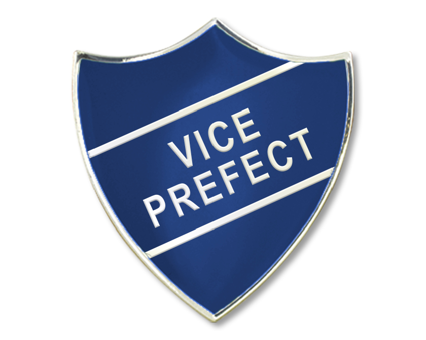 VICE PREFECT badge in blue (pack of 5)