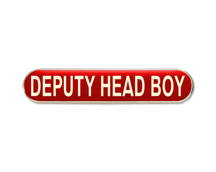 DEPUTY HEAD BOY Enamel Badges (Pack of 5)