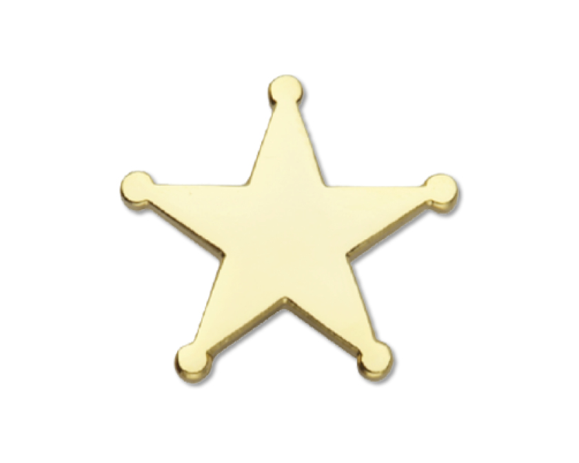 SHERIFF STAR enamel badge (Pack of 5) - Gold