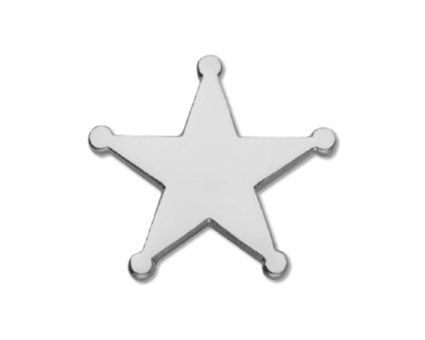 Sheriff style star badge in silver (pack of 5)