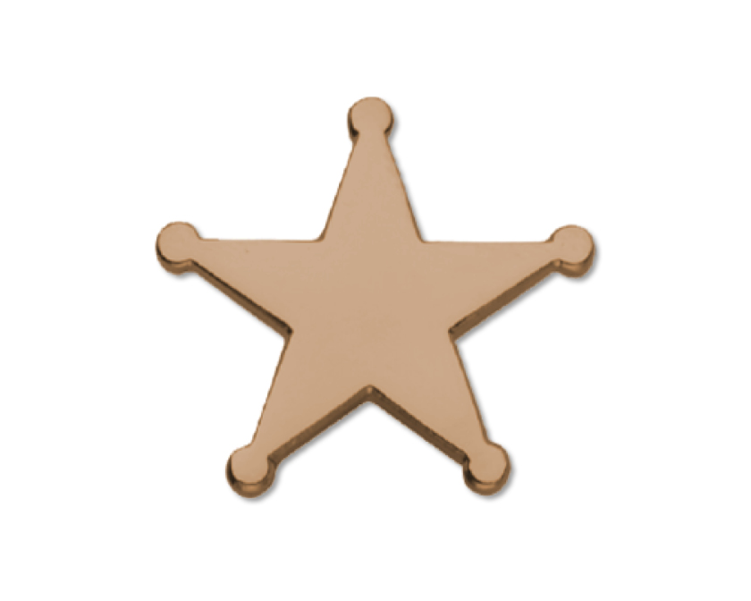 Bronze 'Sheriff style' enamel badge