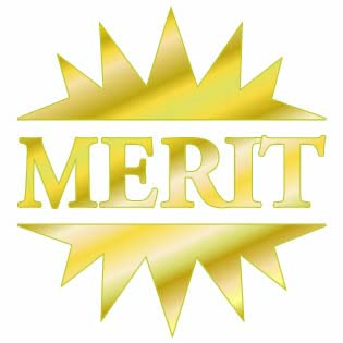 Metallic 'Merit' sticker 19mm
